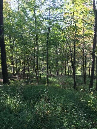 221 Tow Path Rd, Accord, NY 12404