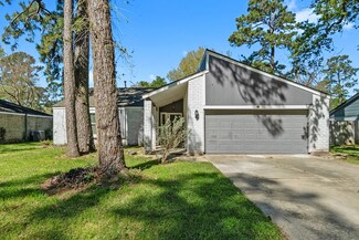 22907 Lemon Grove Dr, Spring, TX 77373