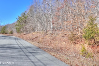 Lot 139 Whistle Valley Rd, New Tazewell, TN 37825