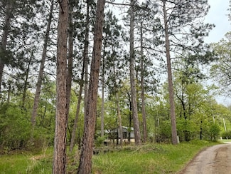 TBD Lavinia Rd NE, Northern Township, MN 56601