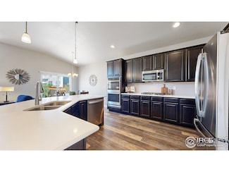 1384 Copeland Falls Rd, Severance, CO 80550