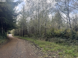 3 Potato Bottom Rd Unit 604, Lakeside, OR 97449
