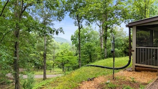 207 Ives Ln, Franklin, NC 28734