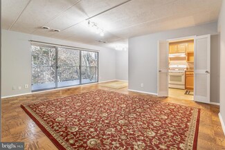 5703 Indian Ct Unit 14, Alexandria, VA 22303
