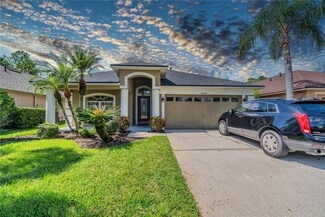 14604 Corkwood Dr, Tampa, FL 33626