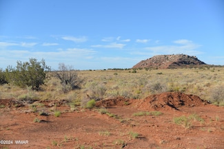 0 N Ranchview Rd, Snowflake, AZ 85937