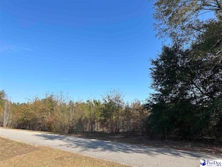 Lot 57 Berry Rd, Latta, SC 29565