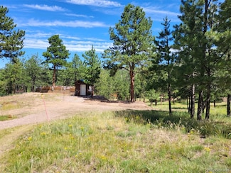 127 Ben Eaton Ln, Westcliffe, CO 81252
