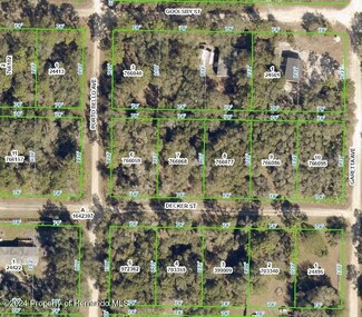 0 Decker St Unit 2238405, Webster, FL 33597