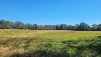 6 Pass Rd, Shelbyville, TN 37160