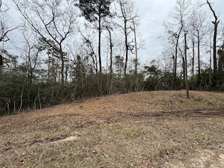 TBD Wildwood Harbor Cir, Onalaska, TX 77360
