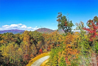0 High Pines Loop Unit 157 CAR4197721, Lake Lure, NC 28746