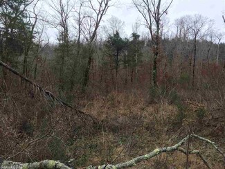 0 Simstown Rd Unit 10407378, Evening Shade, AR 72532