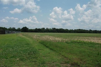0 Hwy 196-10acres Main St Hwy Unit 10176123, Gallaway, TN 38036