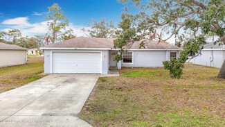 8003 Blackhawk Trail, Spring Hill, FL 34606