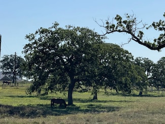 481 Cr 425, Stockdale, TX 78160