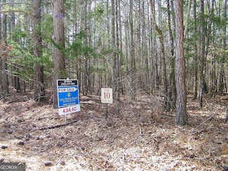 LOT 10 Blackberry Bend, Elberton, GA 30635