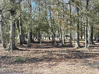 955 Cat Briar Ct, Longs, SC 29568