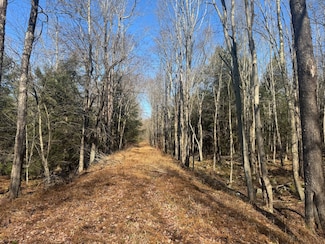 0 Snyder Rd, Laporte Township, PA 18614