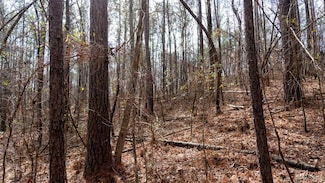 0 Deer Path, Wilsonville, AL 35186