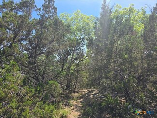 TBD S Cliff Dr, Springbran, TX 78070