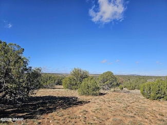 0 Unit 258851, Heber, AZ 85928