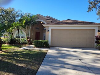 1638 Sand Hollow Ln, Valrico, FL 33594