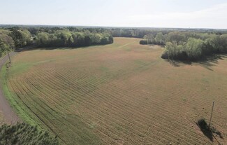TRACT 4 Lick Creek Rd, Michie, TN 38357