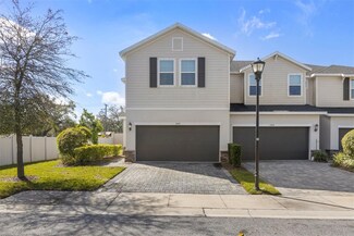 1002 Rose Blossom Ct, Tampa, FL 33613