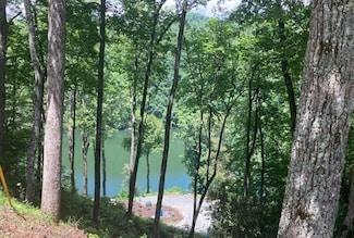 44 Waters Edge Ln, Bryson City, NC 28713