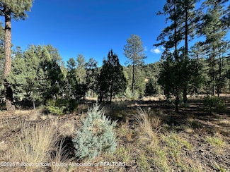 Lot 152 Del Monte Dr, Alto, NM 88312