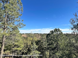 T15B Partridge Ct, Alto, NM 88312