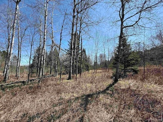 635 Power Plant Rd, Crystal Falls, MI 49920