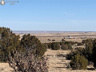 TBD Highway 67, Florence, CO 81226