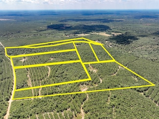 0 County Road 1420, Warren, TX 77664