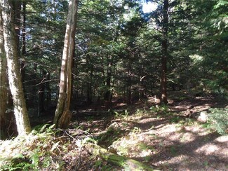 0 Apache Springs Rd Unit S1002703, Lacona, NY 13083