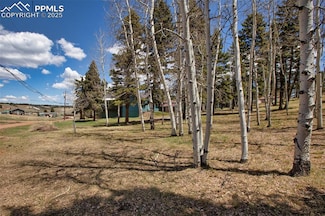 571 Will Scarlet Dr, Divide, CO 80814