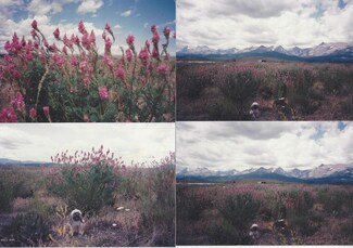 TBD U S Route 2, East Glacier Park, MT 59434