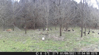 171 Herndon Ln, Berea, KY 40403