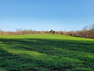 385 Hamps Dairy Ln, Cleveland, NC 27013