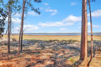 19 Fair Hope Dr NE, Townsend, GA 31331
