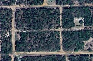 0 Glover Ave Unit A11747018, Interlachen, FL 32148