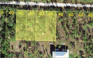 27065 Dubonet Dr, Punta Gorda, FL 33955