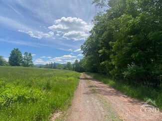 0 Hayden Rd, Windham, NY 12496