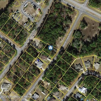 9561 N Travis Dr, Citrus Springs, FL 34434