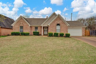 3037 Long Bridge Cove, Lakeland, TN 38002