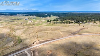 10801 Alamar Way, Black Forest, CO 80908