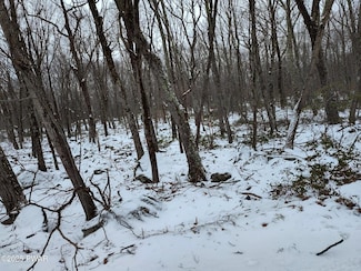 LOT 3406 Stockton Dr, Conashaugh Lakes, PA 18337