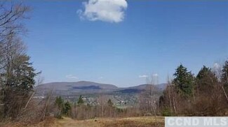 0 Cortina Ln Unit 119251, Hunter, NY 12442