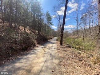 Lot 6, Section 7 Ritters Valley Dr, Capon Bridge, WV 26711